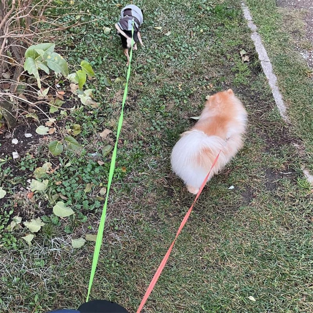 TangleFree | Dual Dog Leash with Tangle-Free Design | Lightweight & Durable for Effortless Walks 6
