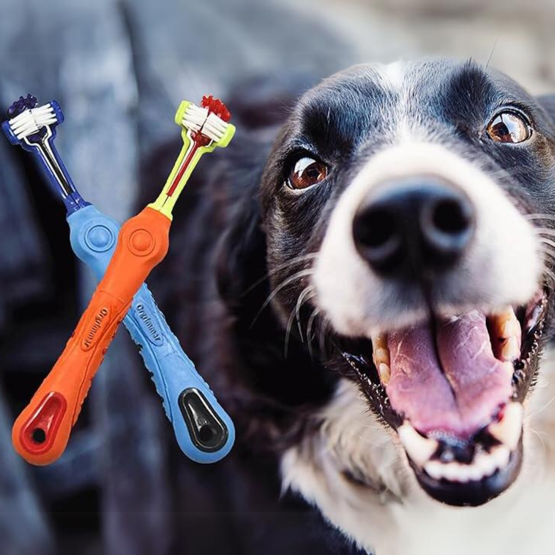Triangular Pet Toothbrush | 2-Piece Set for Tartar Control & Fresh Breath 0