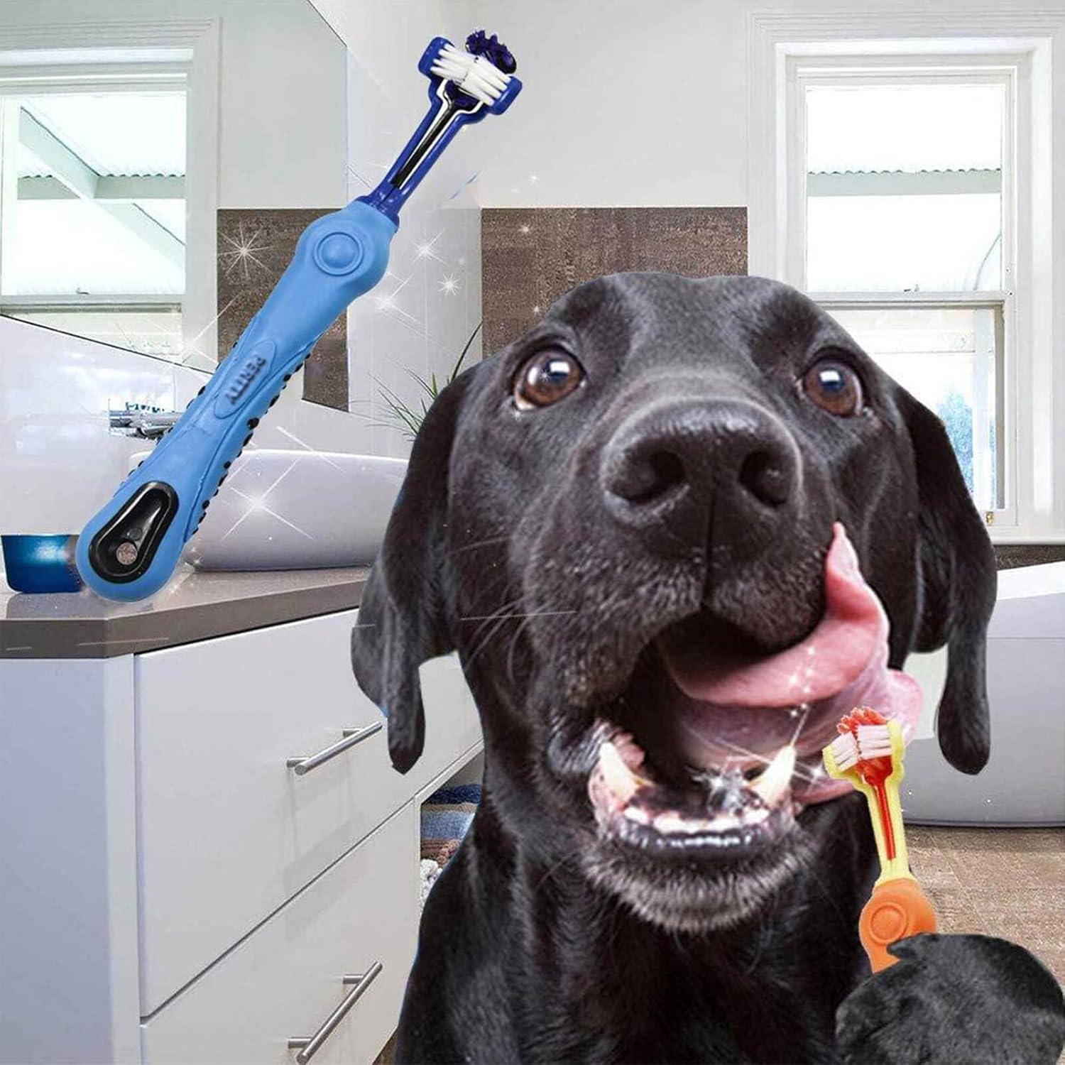 Triangular Pet Toothbrush | 2-Piece Set for Tartar Control & Fresh Breath 5