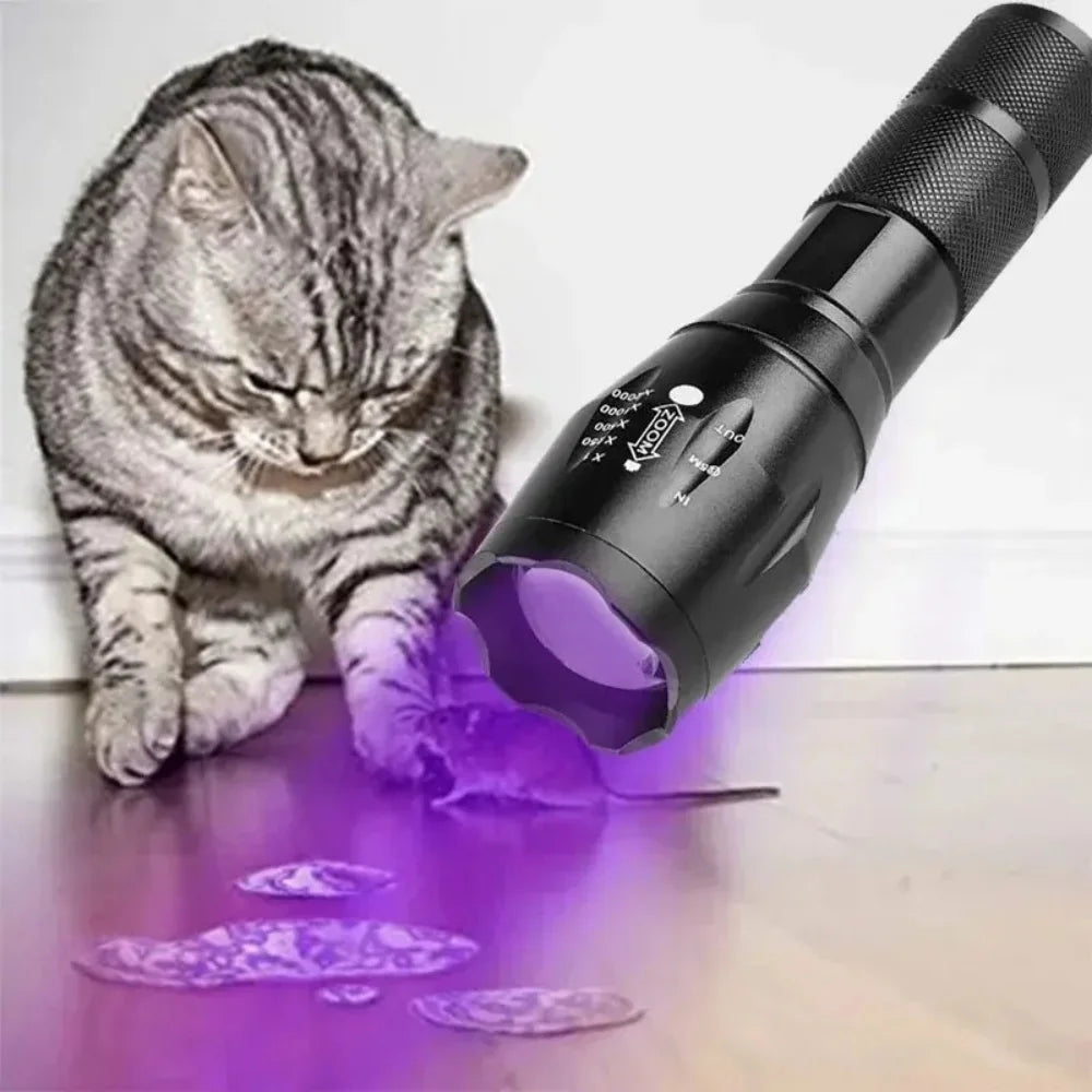 UV Blacklight Flashlight with 395nm Wavelength | Rechargeable Detection Tool for Pet Stains 4