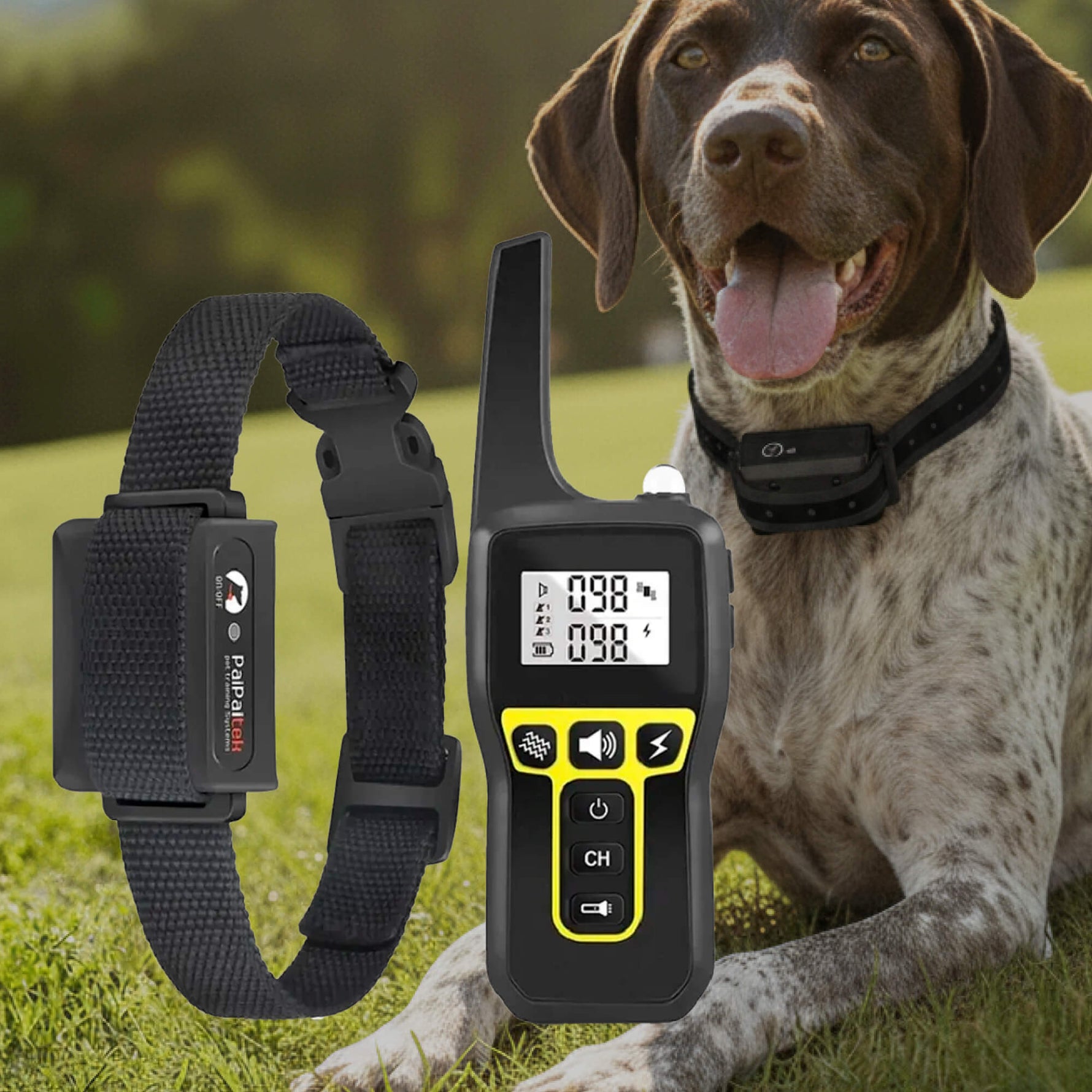 Ultimate Dog Training Collar | Shock Collar for Dogs with 1000m Range | Waterproof Design for Effective Obedience 0