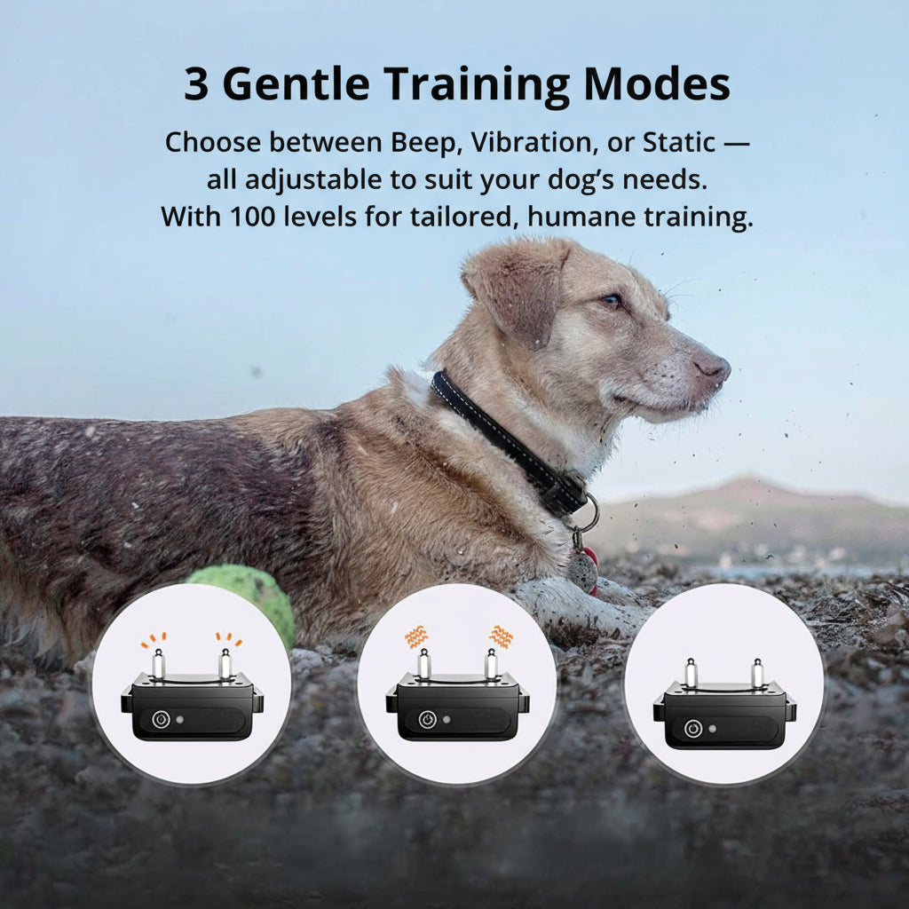Ultimate Dog Training Collar | Shock Collar for Dogs with 1000m Range | Waterproof Design for Effective Obedience 5