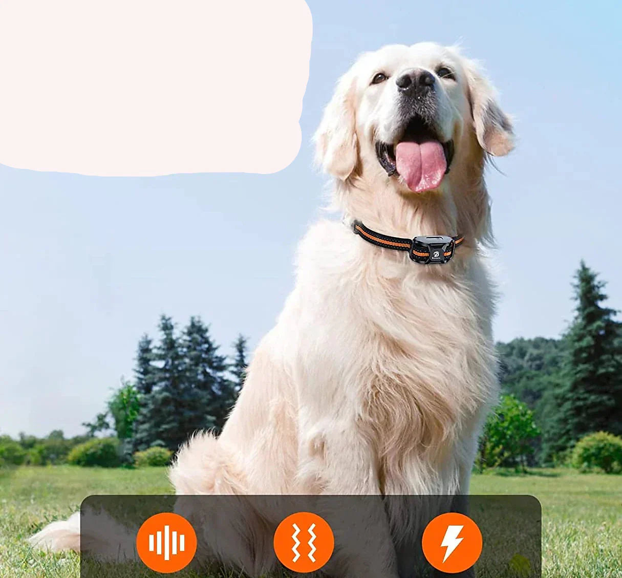 Ultimate Training Collar | Shock Collar for Dogs with Waterproof Design | Adjustable Modes for Effective Training 4