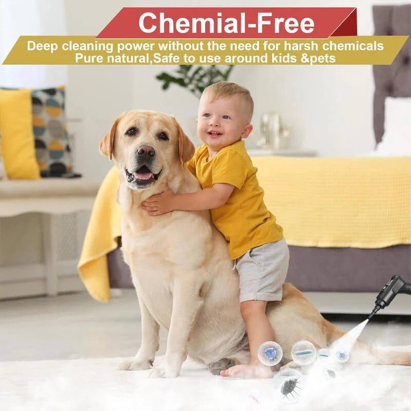 Ultra High-Pressure Steam Cleaner | 2500W with Adjustable Steam Flow | Versatile Cleaning for Home and Vehicle 5