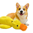 Duck Dog Toy, Durable Dog Toy for Chewers and Tug of War