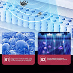 Upholstery Cleaner with UV Sterilization | Cordless Design for Deep Cleaning 2