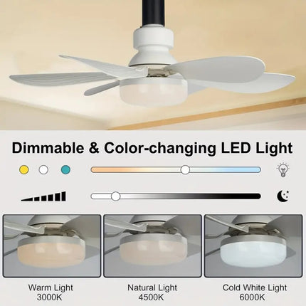 Versatile Ceiling Fan with Lights & Remote Control | Bright Illumination for Instant Comfort 4