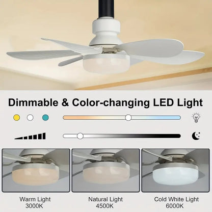 Versatile Ceiling Fan with Lights & Remote Control | Bright Illumination for Instant Comfort 4