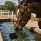 Water Purifier Cube for Livestock Troughs, Activated Carbon Block for Fish Tank Algae Control, Aquarium Water Treatment