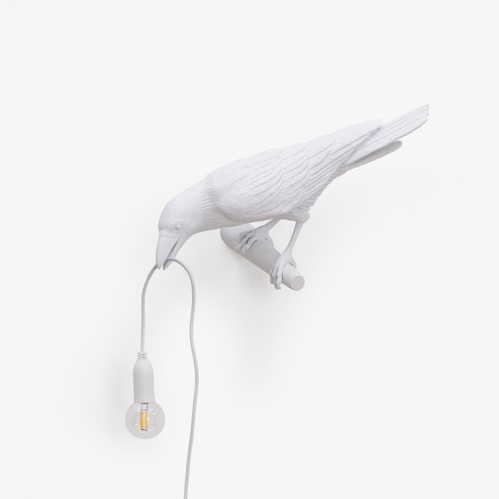 Whimsical Bird Wall Light | Unique Resin Design with Adjustable Height | Perfect Indoor Lighting for Cozy Atmosphere 5