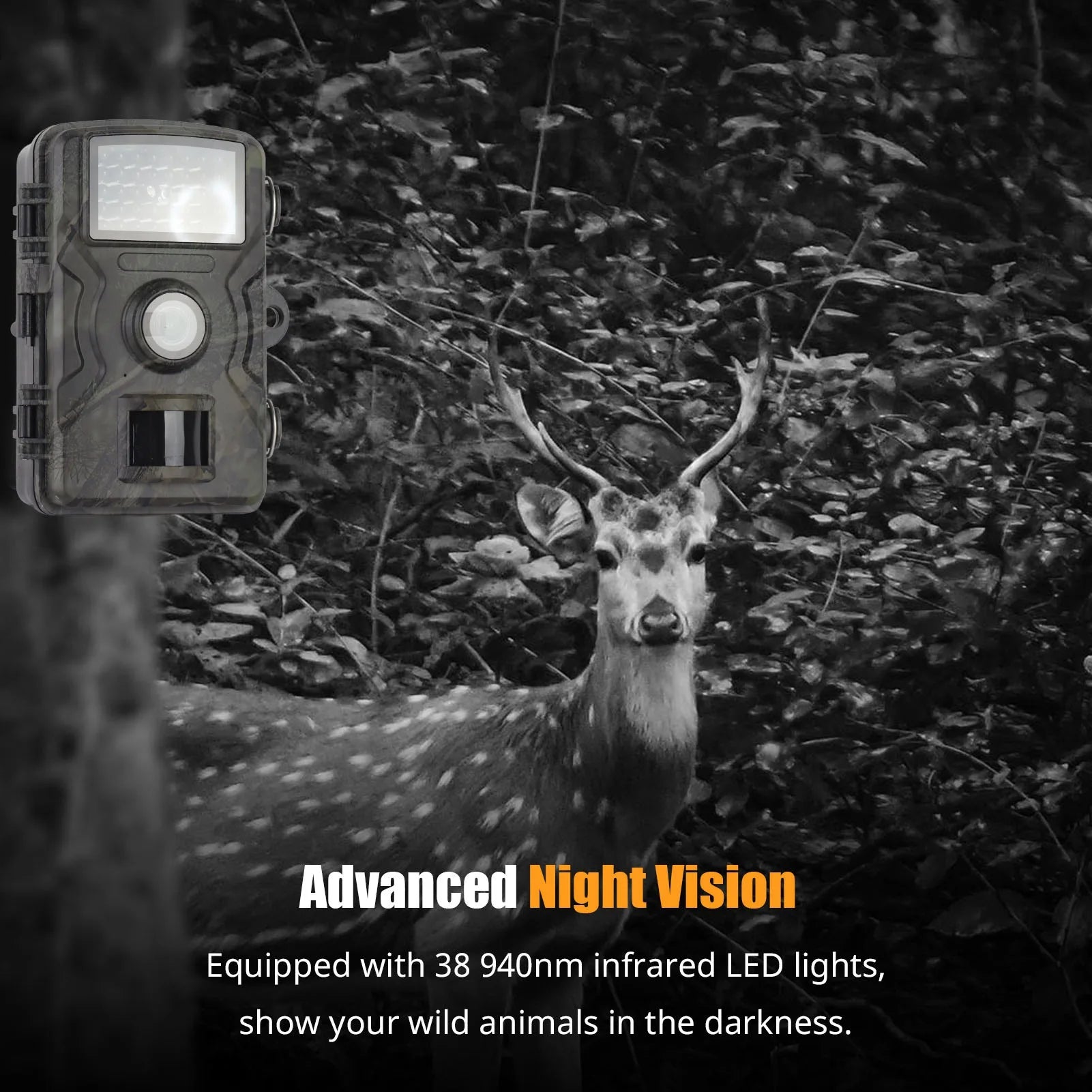 Wildlife Pro | 1080P Night Vision Trail Camera with Fast Trigger Speed | Reliable Outdoor Monitoring for Wildlife and Security 4