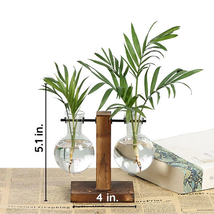 Wooden frame hydroponic plant vase, soil free water planter for indoor wall display, Type A, Type B, Type C