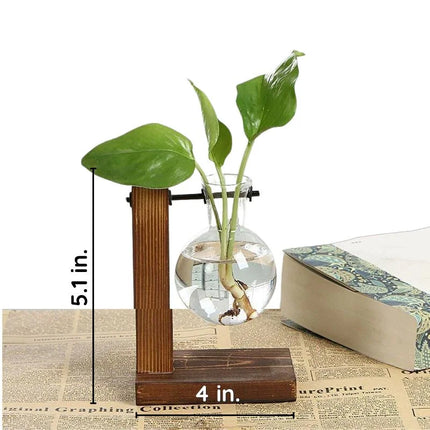 Wooden frame hydroponic plant vase, soil free water planter for indoor wall display, Type A, Type B, Type C