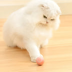 Pink / Toy Ball