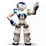Tuzwa Humanoid Robot – 25-DOF Interactive Robot with Dual Cameras, 4 Directional Microphones, Touch & Sonar Sensors, WiFi & Ethernet