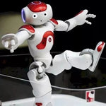 Tuzwa Humanoid Robot – 25-DOF Interactive Robot with Dual Cameras, 4 Directional Microphones, Touch & Sonar Sensors, WiFi & Ethernet