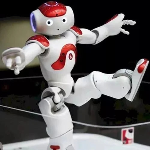 Tuzwa Humanoid Robot – 25-DOF Interactive Robot with Dual Cameras, 4 Directional Microphones, Touch & Sonar Sensors, WiFi & Ethernet