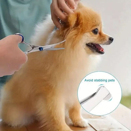 Dog Grooming Scissors Set with Thinning Shears and Comb, Dog Grooming Tools for Home Use – image 4