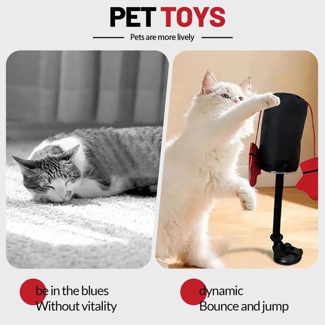 Catnip Toy for Cats, Interactive Cat Toy with Suction Cup
