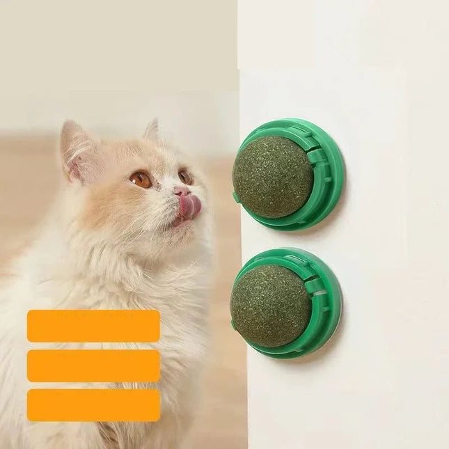 Cat Toy Ball with Catnip, Catnip Toys for Cats 4 Pack