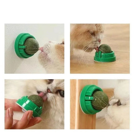 Cat Toy Ball with Catnip, Catnip Toys for Cats 4 Pack – image 4