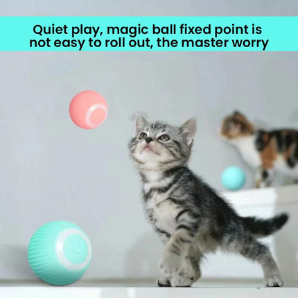 Moving Cat Toy for Hunting Play – image 10