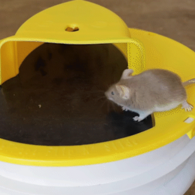 Mouse Trap Bucket Lid, Humane Mouse Trap for Indoor and Outdoor, Reusable Rat Trap with Flip and Slide Ramp