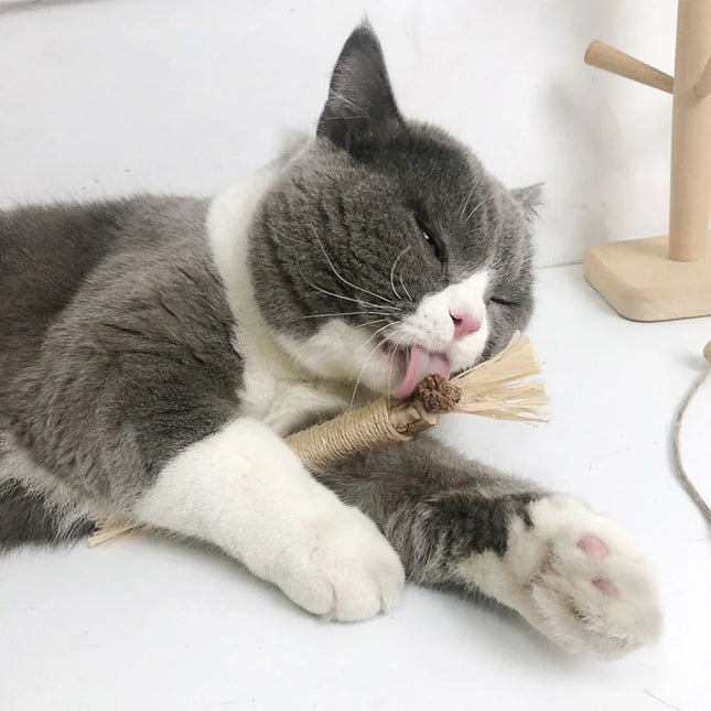 Cat Toys, Cat Interactive Toy with Silvervine for Cats, Natural Kitty Chew Toy for Kitten Teething, 3 Piece Set