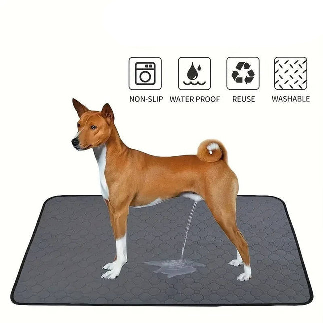 Washable Pee Pads for Dogs, Potty Training