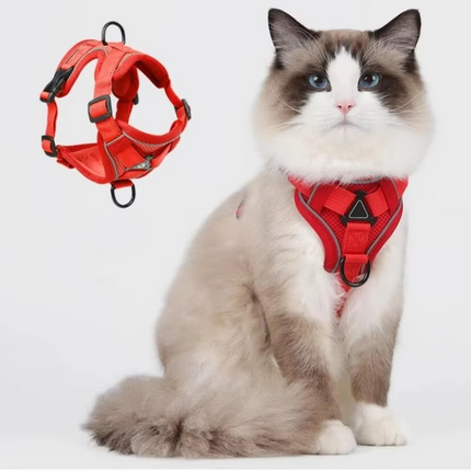 Small Dog Harness also for Rabbits and Ferrets – image 12