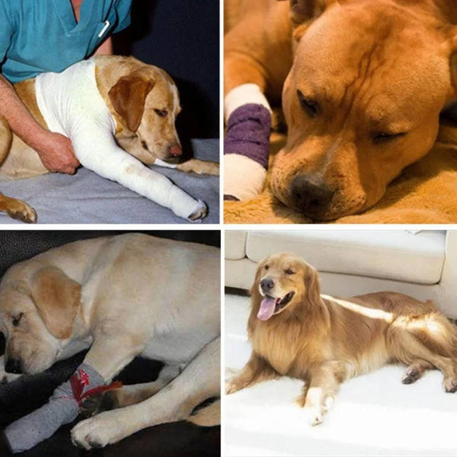 Dog Leg Brace, Canine Leg Brace for Ankle Joint Support
