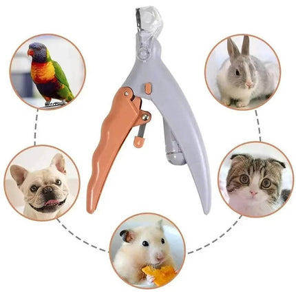 Dog Nail Clippers with LED Light and 5X Magnifier, Dog Grooming Supplies – image 7
