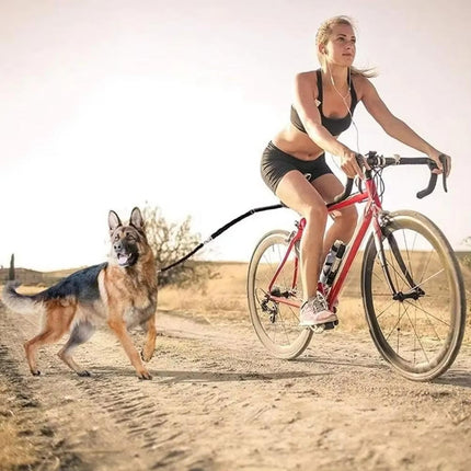 Bike Dog Leash Hands Free, Bike Leash for Dogs Elastic Nylon