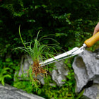 Weed Puller Tool 5 in 1 with Beech Handle, Stainless Steel Weed Remover Tool, Garden Weeding Tool for Transplanting