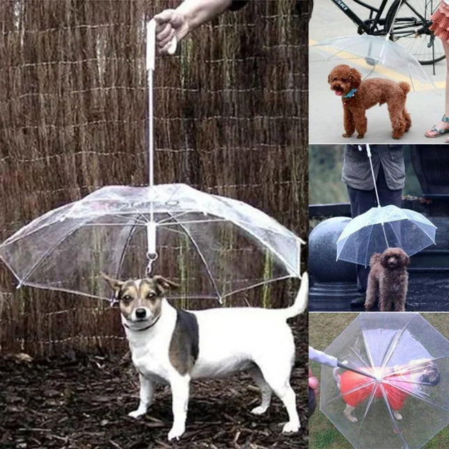 Dog Umbrella with Leash, Transparent Dog Umbrella for Small Dogs, Dog Rain Gear for Walking in Rain and Snow