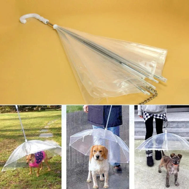 Dog Umbrella with Leash, Transparent Dog Umbrella for Small Dogs