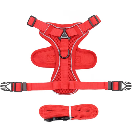Cat Harness and Leash Set – image 16