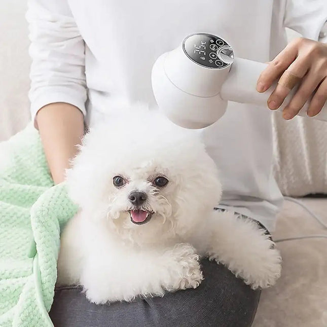 Dog Hair Dryer with Slicker Brush, 2 in 1 Dog Grooming Tool, Pet Hair Blower with Adjustable Temperature