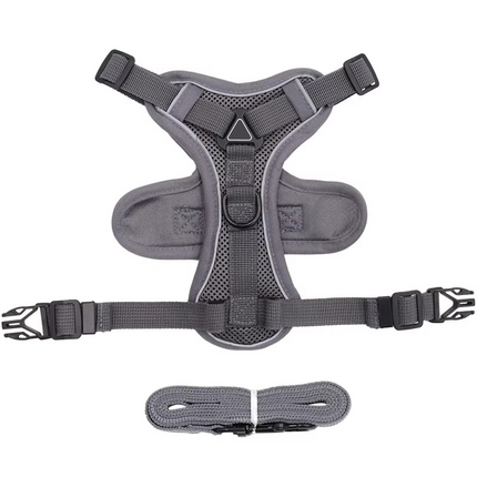 Cat Harness and Leash Set – image 7