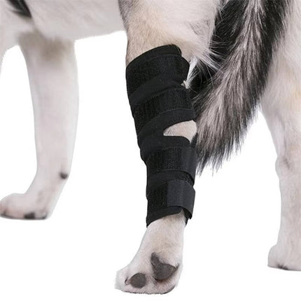 Dog Leg Brace, Braces for Dogs – image 4