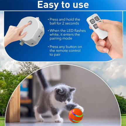 Interactive Dog Toys, Remote Control Dog Toy with LED Lights – image 4