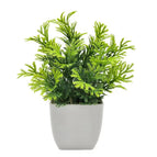 Pine Needle