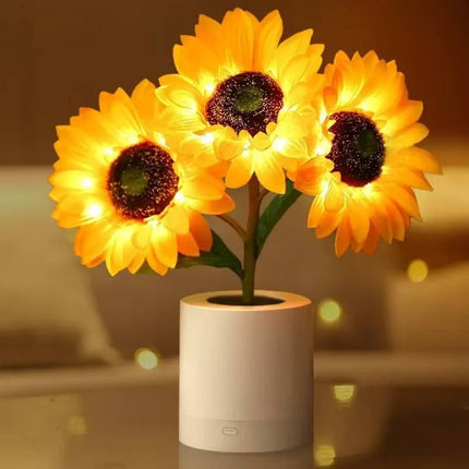 Bedside Lamp, Cordless Lamp and Nightstand Lamp for Bedroom
