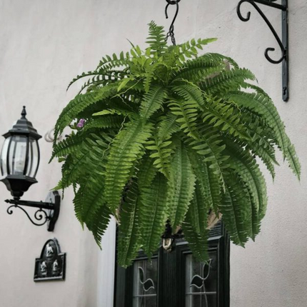 Fake Plants and Fake Fern, UV Resistant Artificial Boston Fern and Faux Fern in 3 Sizes – image 5