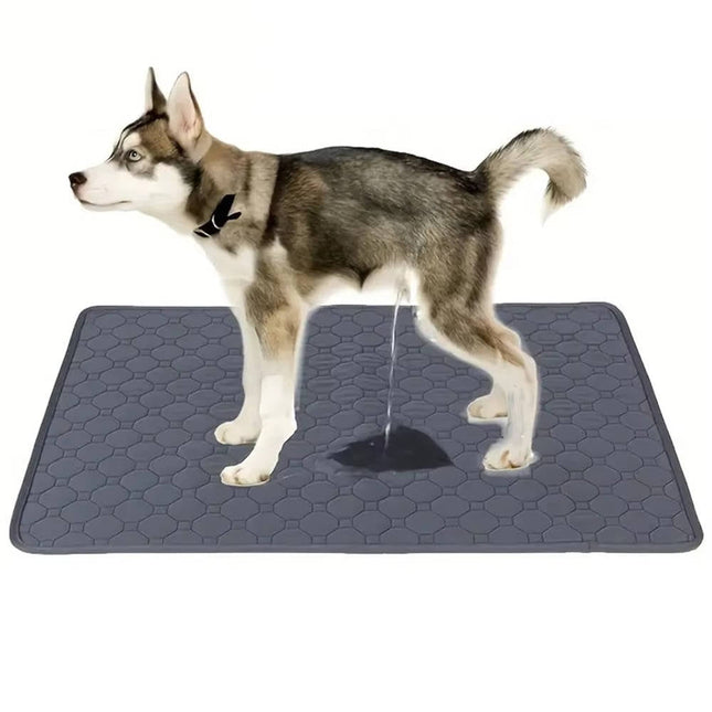 Dog Pee Pads Disposable and Reusable, Non Slip Bottom