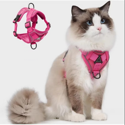 Cat Harness and Leash Set – image 13