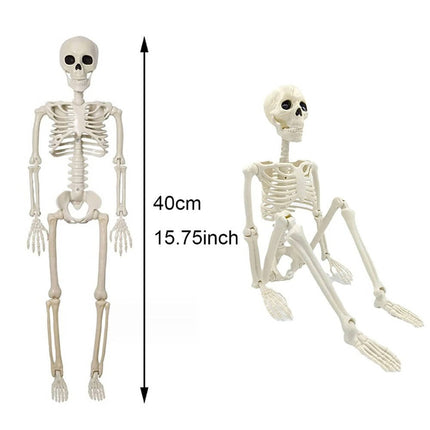 Human Skeleton Halloween Decorations Outdoor, Posable Halloween Skeleton Decoration – image 4