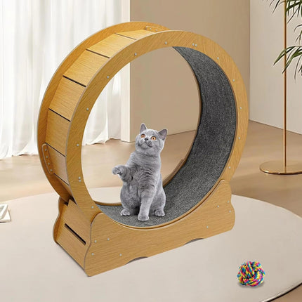 Cat Wheel for Indoor Cats, Quiet Cat Running Wheel with Ball Bearings – image 5