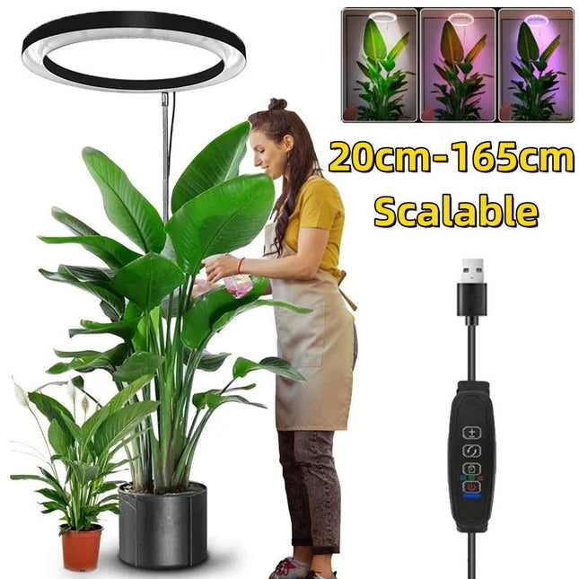 Indoor Plant Grow Light, Full Spectrum LED Grow Light with Timer