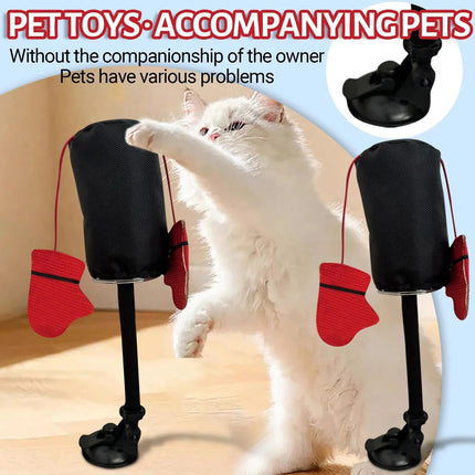 Catnip Toy for Cats, Spring Cat Toy with Boxing Gloves and Bells